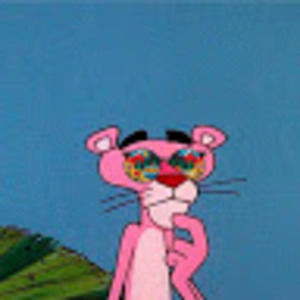 Meet your Posher, Leila